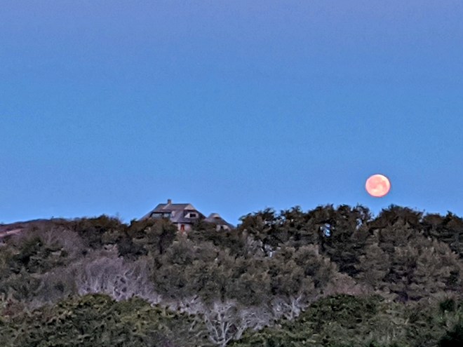 IMG_20210226_061054a